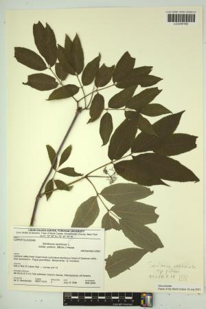 96680-Service File.jpg