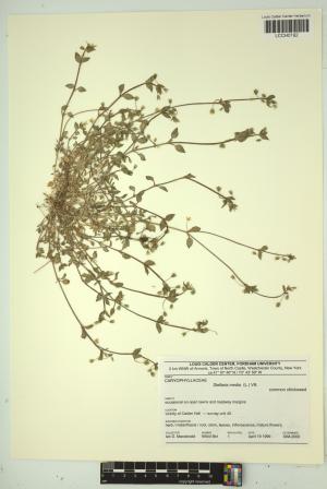 96690-Service File.jpg