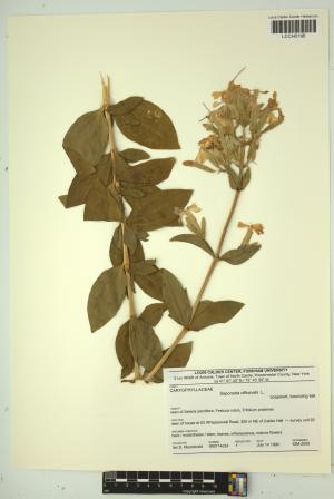 96694-Service File.jpg