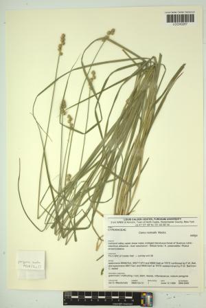 96765-Service File.jpg