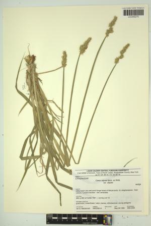 96768-Service File.jpg