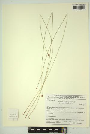 96780-Service File.jpg