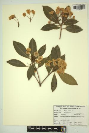 96786-Service File.jpg