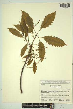 96828-Service File.jpg