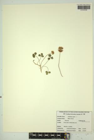 96836-Service File.jpg