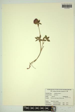 96837-Service File.jpg