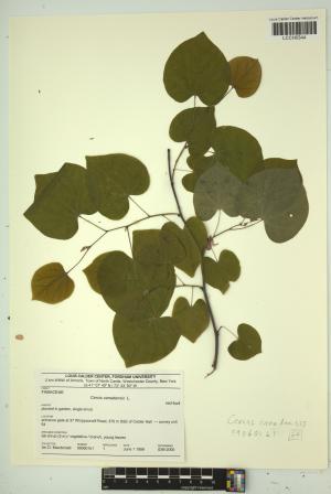 96842-Service File.jpg
