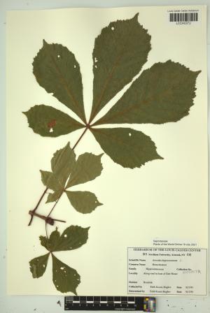96869-Service File.jpg