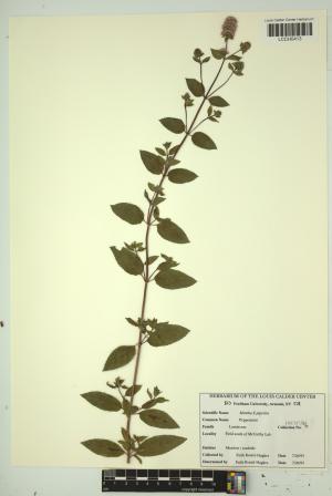 96910-Service File.jpg