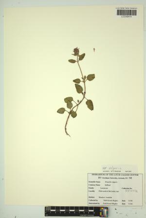 96911-Service File.jpg
