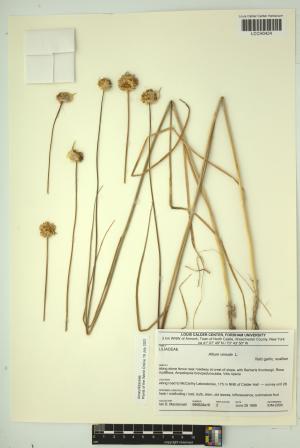 96921-Service File.jpg