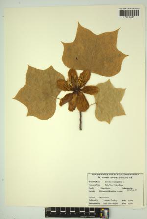 96944-Service File.jpg