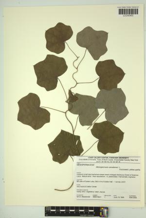 96946-Service File.jpg