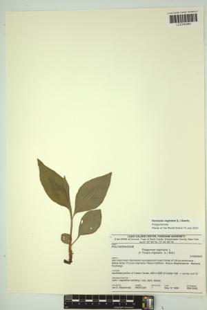 96989-Service File.jpg