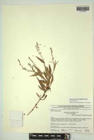 96991-Service File.jpg
