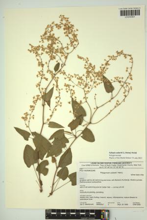 96997-Service File.jpg