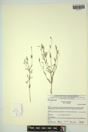 97006-Service File.jpg