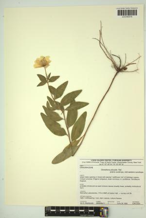 97012-Service File.jpg