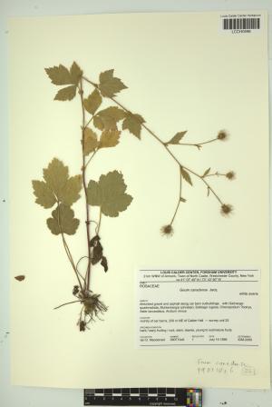 97092-Service File.jpg