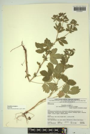 97097-Service File.jpg