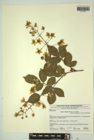 97109-Service File.jpg