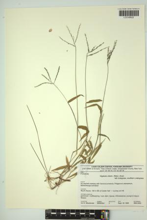 97118-Service File.jpg