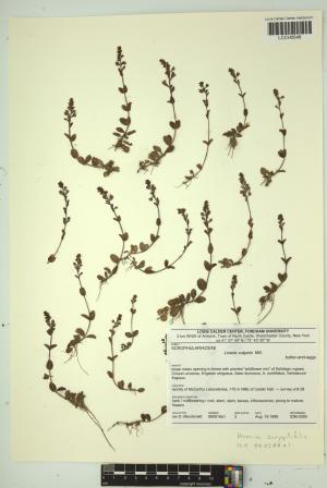 97144-Service File.jpg