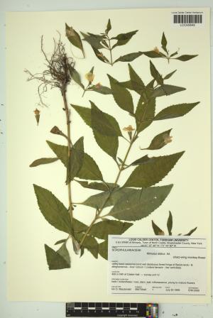 97145-Service File.jpg