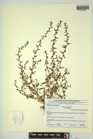 97150-Service File.jpg