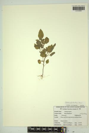 97180-Service File.jpg