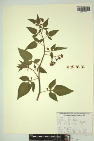97181-Service File.jpg