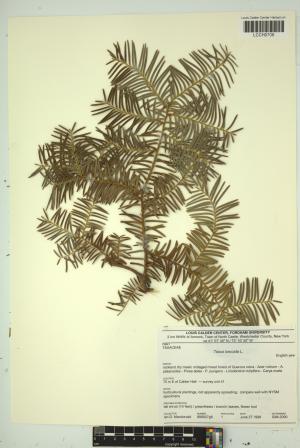 97193-Service File.jpg