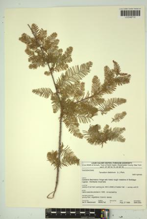 97194-Service File.jpg