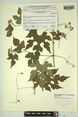97199-Service File.jpg