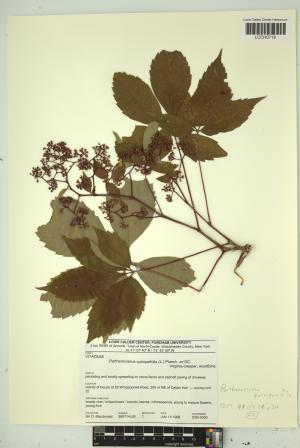 97202-Service File.jpg