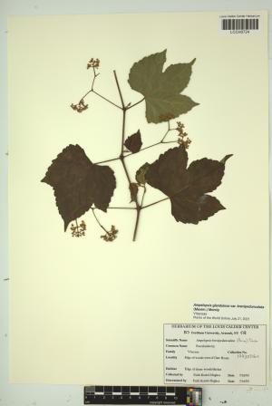 97208-Service File.jpg