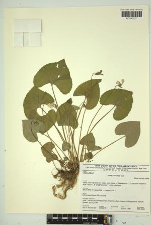 97211-Service File.jpg