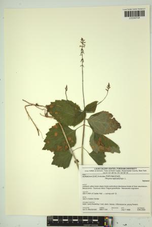 97218-Service File.jpg
