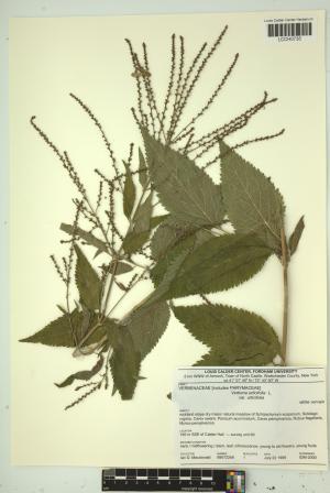 97219-Service File.jpg