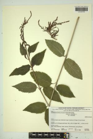 97220-Service File.jpg