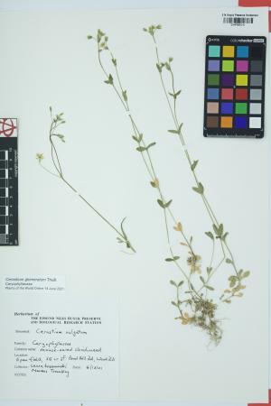 97367-Service File.jpg