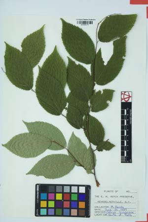 97401-Service File.jpg