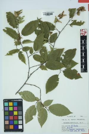 97501-Service File.jpg