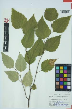 97505-Service File.jpg