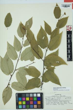 97507-Service File.jpg