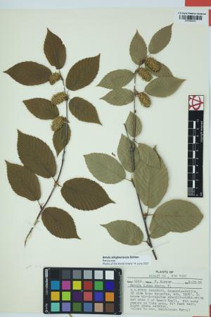 97508-Service File.jpg
