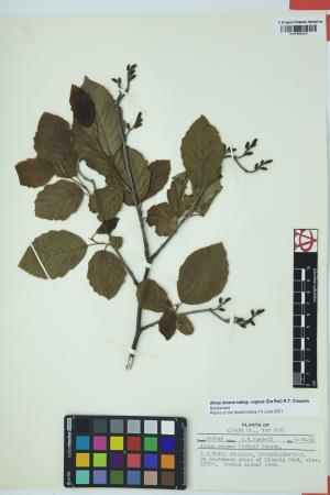 97512-Service File.jpg