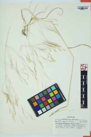 97531-Service File.jpg