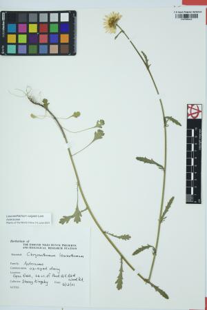 97629-Service File.jpg