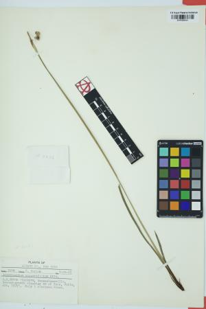 97631-Service File.jpg